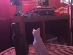 statuette_cat