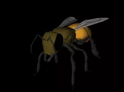 Bee