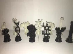 Biochemistry Chess Set