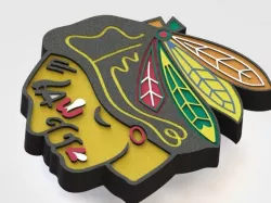 Chicago Blackhawks