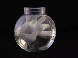 Guppy's House- Fish Toy