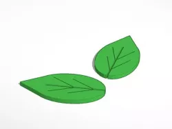 Leaves