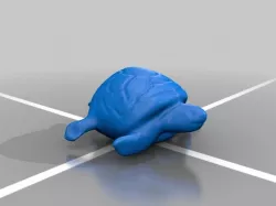 Loggerhead Turtle