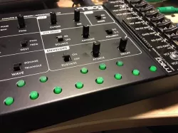Moog Werkstatt Button Cap