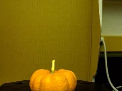 Pumpkin