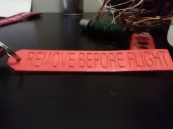 REMOVE BEFORE FLIGHT