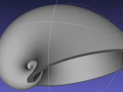 Shell 01