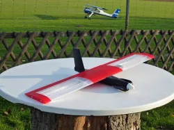 Speedy "Red Mini Wing" RC Plane
