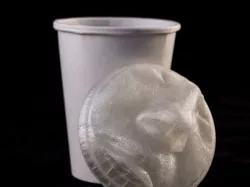 The Horse's Mouth