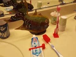Toothbrush Gift Set