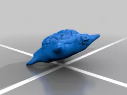 turtle attempt