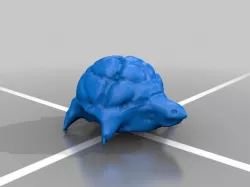 Turtle model