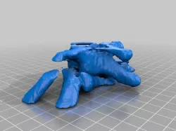 vertebra2