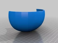bra