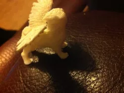 flying pug