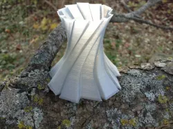 Freeform Vase