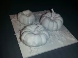 Pumpkin Patch