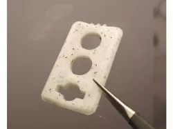 Shoe lace Locks (OLD)
