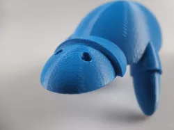 ...armadillo...