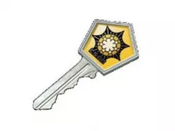 Counter Strike-GO key