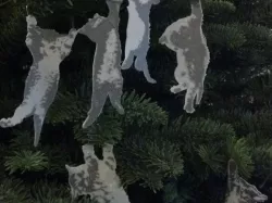 Hang in There Kitty Ornaments