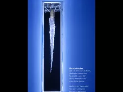 Real rippled Icicle 120205.497
