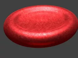 red blood cell