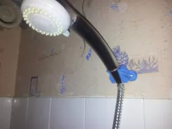 shower holder