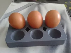 6 egg carton