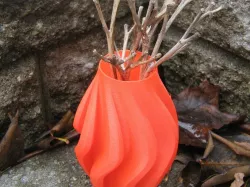 Curved Vase