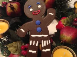 Gingerbread Man from Shrek/multicolor version