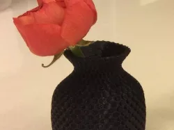 Little Vase