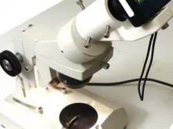Microscope adapter for compact camera