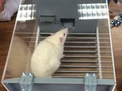 Operant Conditioning Chamber