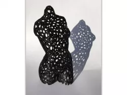 Pink panther woman - voronoi style cut legs