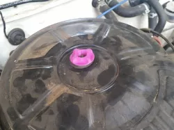 Toyota Air Filter Wingnut