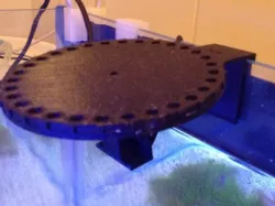 Automatic fish feeder for aquarium