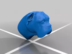 Boxer