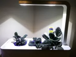 Click And Grow(TM) Planter