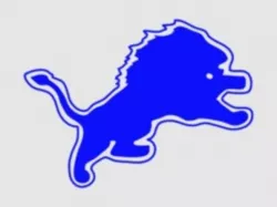 Detroit Lions Key Fob