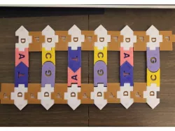 DNA / RNA Manipulatives