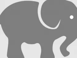 Elephant Key Fob
