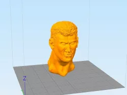 Male bust (busto masculino)