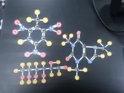 Molecule Construction Kit