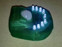 Passive Infrared with battery case