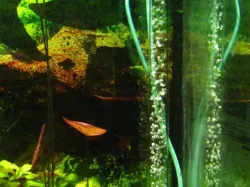 Printable airlift underground filter