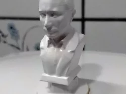 Toilet flush grips for Ifö Aqua (1984-1991) heart or V. Putin (Pootin hehe)