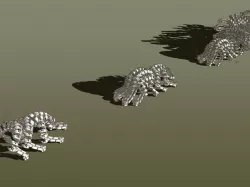 weevil complex