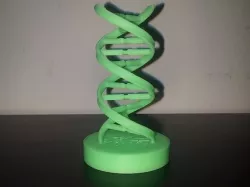 DNA Helix