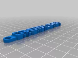 My CustomiCAMERONzed Message Keychain